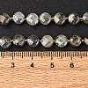 Natural Labradorite Beads Strands G-K389-B66-01-6