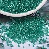 MIYUKI Delica Beads X-SEED-J020-DB1813-1