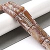Natural Weathered Agate Beads Strands G-Q169-A04-01-2