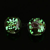Luminous Handmade Gold Sand Lampwork Beads LAMP-T021-03M-3