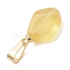 Natural Amber Pendants PALLOY-JF05157-5