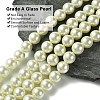 Eco-Friendly Dyed Glass Pearl Round Beads Strands HY-A002-12mm-RB011-2