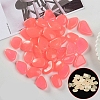 Resin Luminous Glow in the Dark Pebbles Stone PW-WG30806-06-1