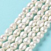 Natural Cultured Freshwater Pearl Beads Strands PEAR-Z002-20-2