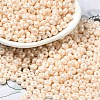 Baking Paint Luster Glass Seed Beads X-SEED-B001-04A-02-1