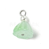 7Pcs Acrylic Charms PALLOY-JF03242-3