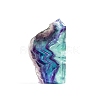 Natural Fluorite Display Decorations PW-WG36581-01-5