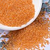 MIYUKI Round Rocailles Beads SEED-G007-RR0253-1
