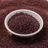 MIYUKI Round Rocailles Beads SEED-X0056-RR0303-2