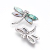 Abalone Shell/Paua Shell Pendants LS-SSHEL-L008-71P-3