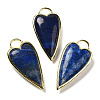 Natural Lapis Lazuli Pendants G-K347-01G-02-1