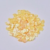 Ornament Accessories Plastic Paillette/Sequins Beads PVC-F002-C04-1