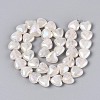 Electroplate Natural Quartz Crystal Beads Strands G-T144-40-2