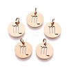 304 Stainless Steel Charms STAS-Q201-T445-8R-1