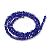 Glass Beads Strands GLAA-L031-01-C16-3