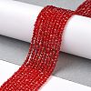 Transparent Glass Beads Strands GLAA-H021-04-24-3