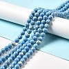 Synthetic Turquoise and Sea Shell Assembled Beads Strands G-D482-01E-04-1