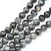 Natural Larvikite Beads Strands G-R345-4mm-33-1