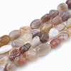 Natural Botswana Agate Beads Strands G-T064-66-1