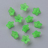 Transparent Acrylic Beads X-PL554-13-4