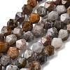 Natural Gobi Agate Beads Strands G-Z119-A36-02-3