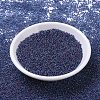 MIYUKI Round Rocailles Beads SEED-JP0008-RR0346-2