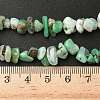 Natural Chrysoprase Beads Strands G-G0004-D01-A-6