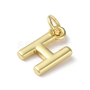 Rack Plating Brass Charms KK-P245-06G-H-2