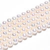 Natural Cultured Freshwater Pearl Beads Strands PEAR-N016-04B-2