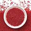 12/0 FGB Grade A Round Glass Seed Beads X-SEED-Q011-F508-5