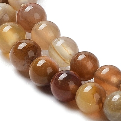 Natural Petrified Wood Round Bead Strands G-P070-69-3mm-1
