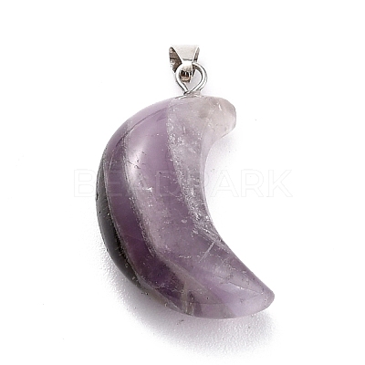 Natural Amethyst Pendants G-Z022-02C-1