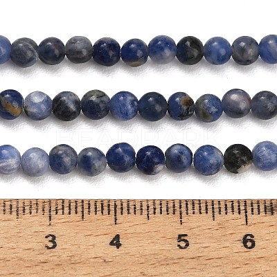 Natural South Africa Sodalite Beads Strands G-S259-35-4mm-1