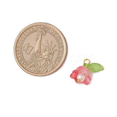 Glass Charms PALLOY-MZ00838-02-1