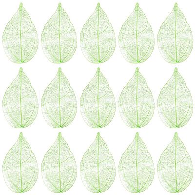 100Pcs Dried Flower Leaf Craft Supplies AJEW-CP0009-41A-1