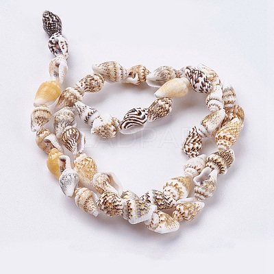 Natural Sea Shell Beads Strands X-BSHE-K012-07-1