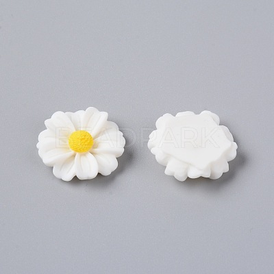 Resin Cabochons RESI-TAC0006-02C-05-1