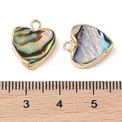 Natural Paua Shell Heart Charms with Brass Edge SHEL-P017-19G-1
