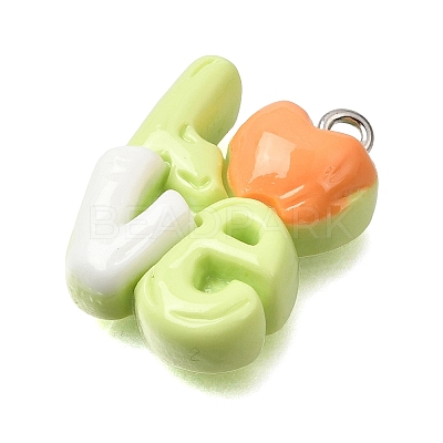 Opaque Resin Pendants RE-CBAA178-06P-1