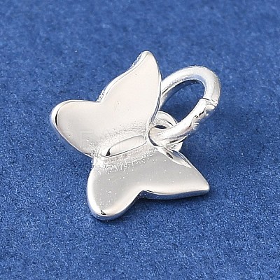 925 Sterling Silver Charms STER-M120-01A-S-1
