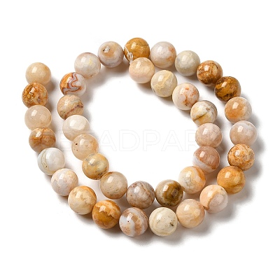 Natural Crazy Lace Agate Beads Strands G-H298-A12-04-1