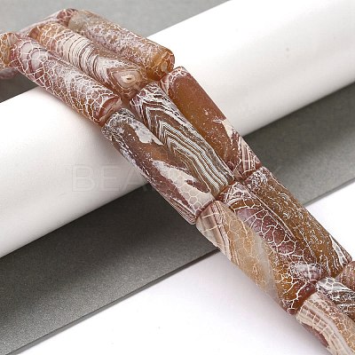 Natural Weathered Agate Beads Strands G-Q169-A04-01-1