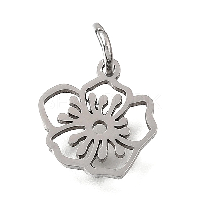 304 Stainless Steel Charms SA-CBA4CE0-01P-B-1