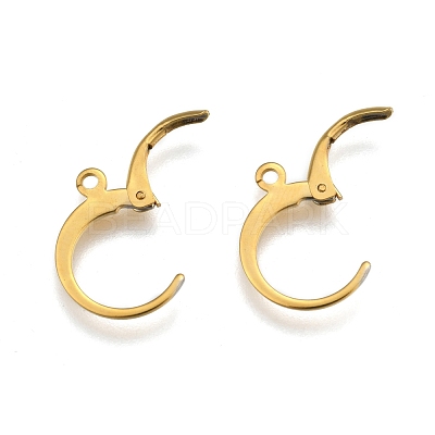 304 Stainless Steel Leverback Earring Findings X-STAS-P210-30G-1
