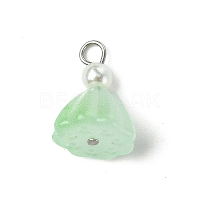 7Pcs Acrylic Charms PALLOY-JF03242-1