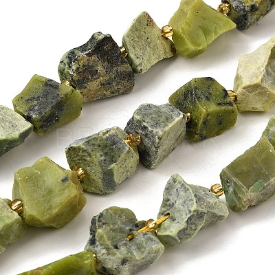 Raw Rough Natural Serpentine Beads Strands G-Z087-B14-1