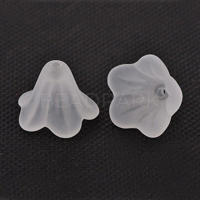 Frosted Acrylic Beads X-PL692-13-1