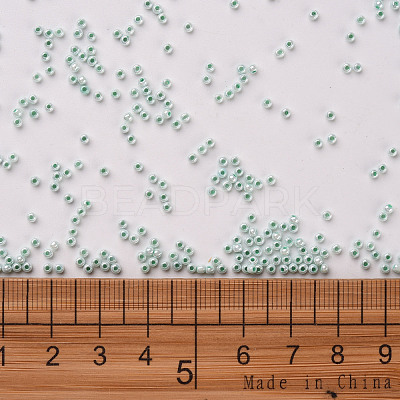 11/0 FGB Grade A Round Glass Seed Beads SEED-N001-B-0487-1