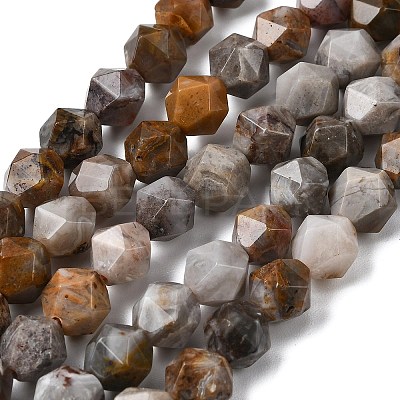 Natural Gobi Agate Beads Strands G-Z119-A36-02-1