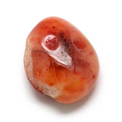 Natural Red Agate Gemstone Beads G-S218-15-1